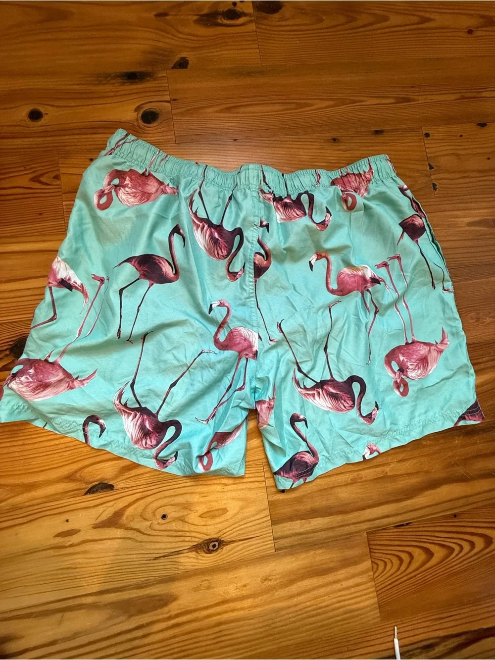 City Streets Mint Green Swim Trunks with Pink Flamingo Print